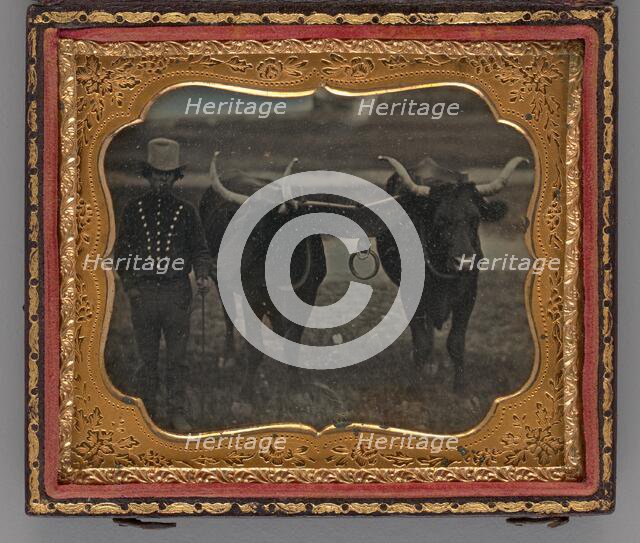 Untitled (Portrait of Man with Two Oxen), 1852. Creator: Unknown.