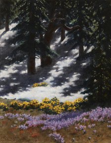 Crocuses and Marsh-Marigolds, July 23, 1907. Creator: Stanislaw Witkiewicz.