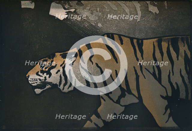 'The Tiger', c1900. Artist: John Dickson Batten.