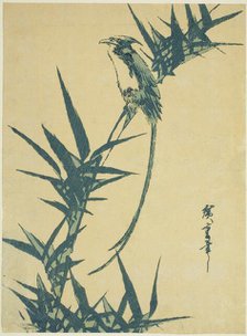 Long-tailed bird and bamboo, n.d. Creator: Ando Hiroshige.
