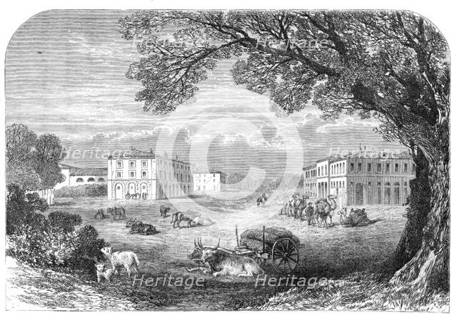 Il Gombo, near Pisa, the Acclimatisation Farm of His Majesty Victor Emmanuel, 1864. Creator: Unknown.