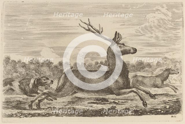 Deer Chased by Two Dogs to the Left. Creator: Stefano della Bella.