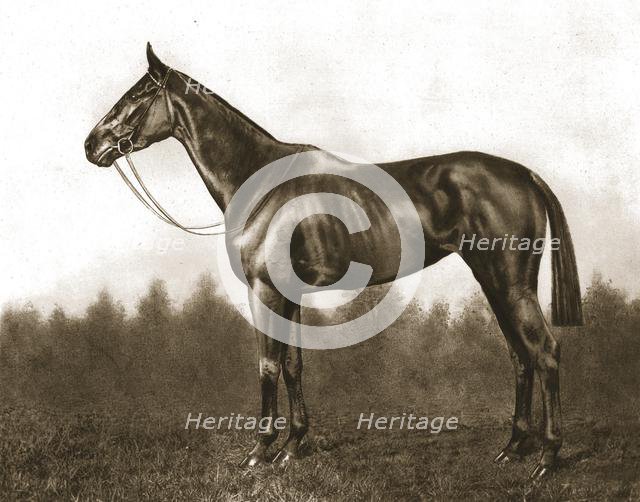 Demure, 1911.  Creator: Unknown.