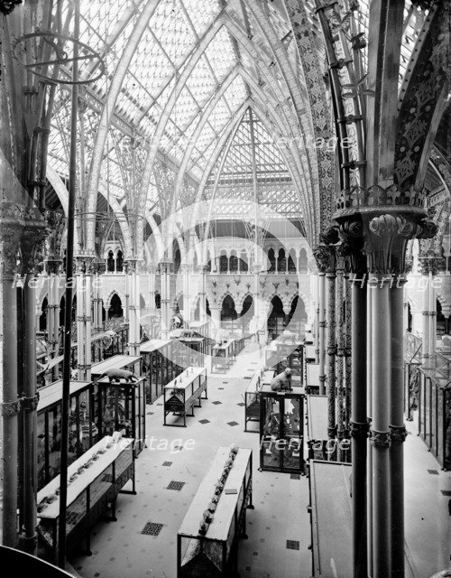 University Museum, Parks Road, Oxford, Oxfordshire, c1860-c1922. Artist: Henry Taunt