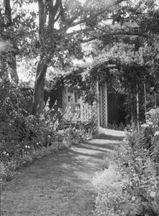 Herter, Albert, garden, between 1932 and 1942. Creator: Arnold Genthe.