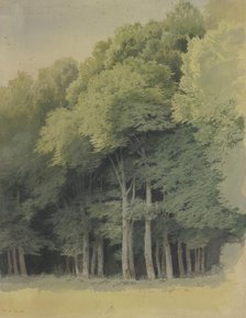 Forest edge near Braunfels, 1855. Creator: Carl Theodor Reiffenstein.