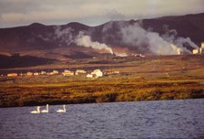Whooper Swans on Lake Myvatn with Hot Springs Beyond, North Central Iceland, 20th century.  Artist: CM Dixon.