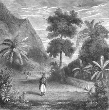 'Vegetation of Tahiti; Speculations concerning Former Southern Geographies', 1875. Creator: Unknown.
