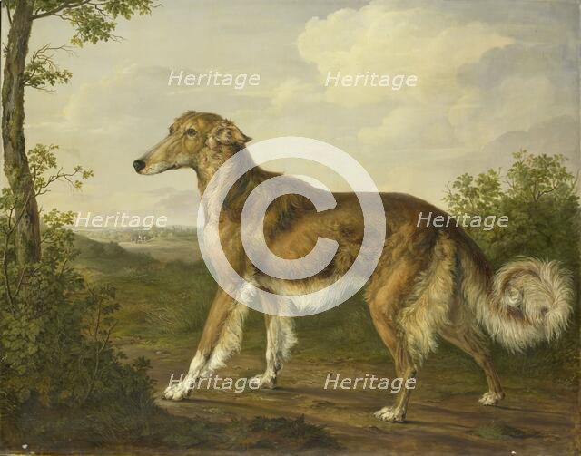 Siberian Greyhound, c.1825. Creator: Jan Dasveldt.