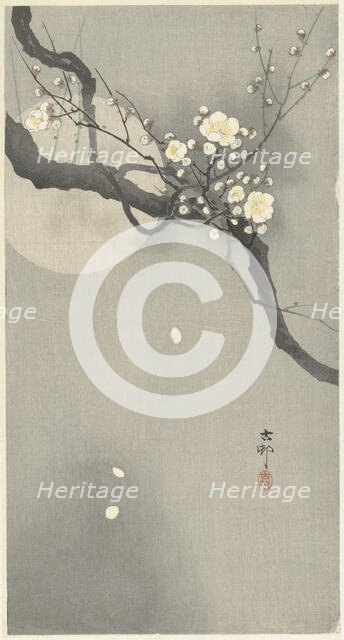 Plum blossom and full moon. Creator: Ohara, Koson (1877-1945).