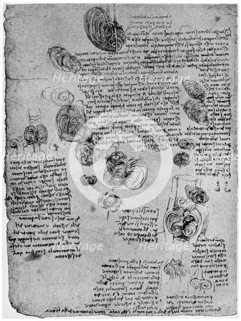 Diagram of the blood vortex in the heart, late 15th or early 16th century (1954). Artist: Leonardo da Vinci
