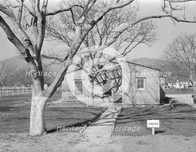 El Monte federal subsistence homesteads, California, 1936. Creator: Dorothea Lange.