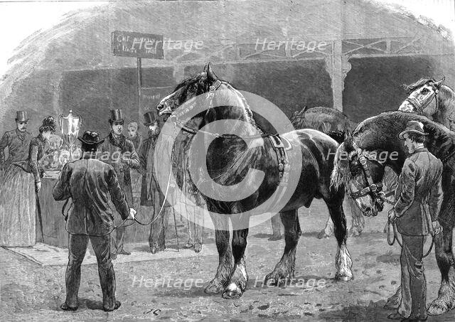 'Show of the Shire Horse Society at the Agricultural Hall, Islington', 1886.   Creator: Unknown.