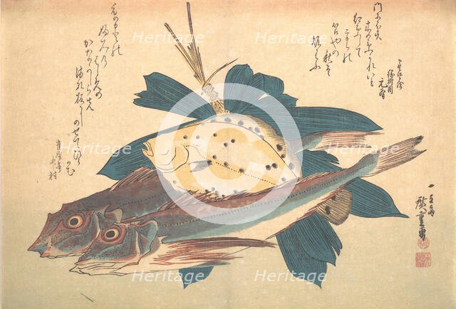 Kanagashira and Karei Fish, from the series Uozukushi (Every Variety of Fish), 1830s., 1830s. Creator: Ando Hiroshige.