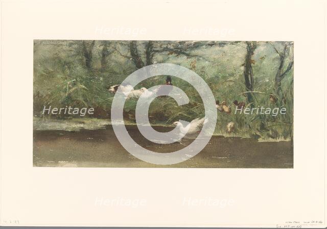 Ducks on canal bank, 1844-1910. Creator: Willem Maris.