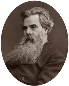 Thomas Woolner, RA, Professor of Sculpture at the Royal Academy, 1877.Artist: Lock & Whitfield