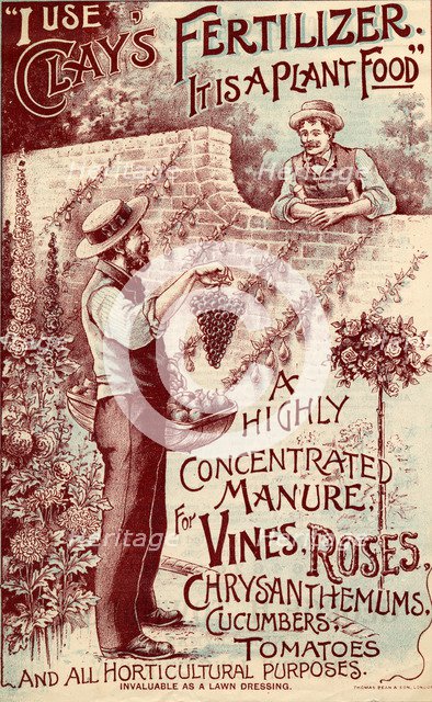 Clay's Fertilizer, c.1900. Artist: Unknown
