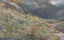 'An Alpine Meadow', late 19th-early 20th century.  Creator: John MacWhirter.