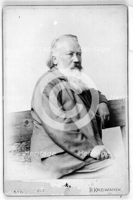 Portrait of Johannes Brahms (1833-1897).