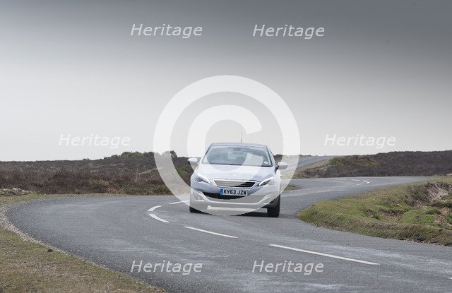 2014 Peugeot 308 THP 156 Feline Artist: Unknown.