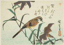 Bunting and lilies, 1830s-1840s. Creator: Ando Hiroshige.
