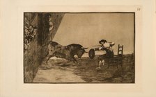 La Tauromaquia: The Daring of Martincho in the Ring at Saragossa, 1815-1816. Creator: Goya, Francisco, de (1746-1828).
