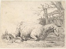 A sheep lying with its legs folded underneath its body next to a wooden fence, the she..., ca. 1655. Creator: Karel Du Jardin.