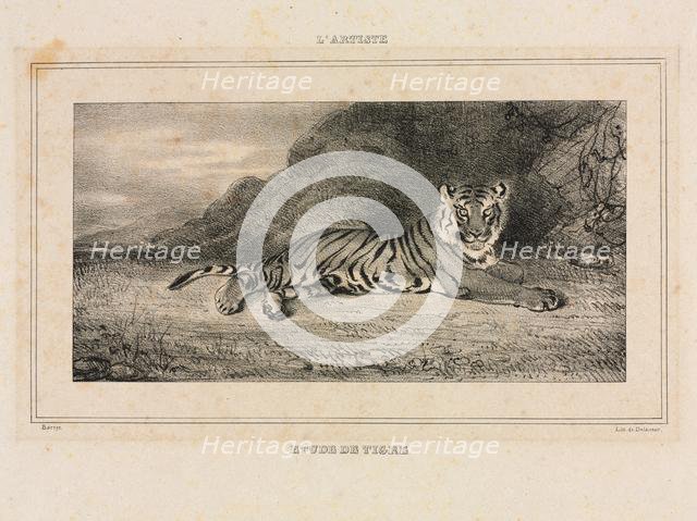 Study of a Tiger, 1832. Creator: Antoine-Louis Barye (French, 1796-1875).