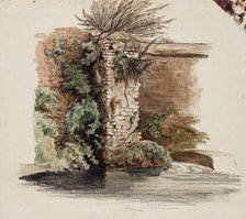 Brick wall and climbing plant, 1848-1860. Creator: Werner Holmberg.