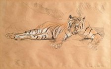 A Tiger Waiting, c1900s. Creator: John MacAllan Swan.