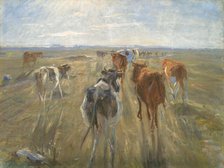 Long Shadows. Cattle on the Island of Saltholm, 1888-1892. Creator: Theodor Esbern Philipsen.