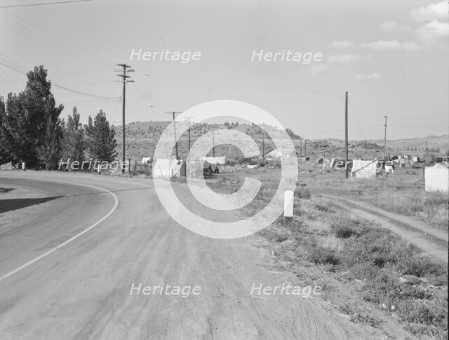 Squatter camp before season opens, Malin, Klamath County, Oregon, 1939. Creator: Dorothea Lange.