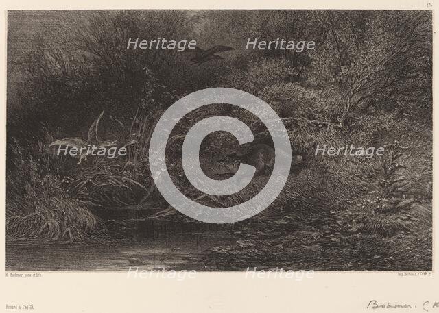 Renard à l'affût. Creator: Karl Bodmer.