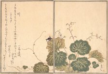 Earthworm (Mimizu); Cricket (Korogi)..., 1788. Creator: Kitagawa Utamaro.