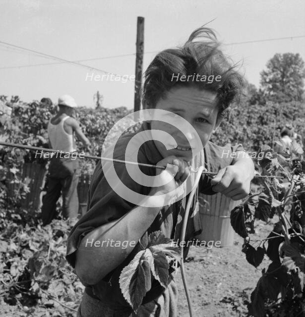 Migratory boy, aged eleven, and his grandmother..., near Independence, Polk County, Oregon, 1939. Creator: Dorothea Lange.