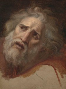 Head of Laocoon, about 1790. Creator: Andrea Appiani.