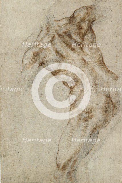 Nude male Torso, early 16th century. Artist: Michelangelo Buonarroti.