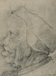 Grotesque head in profile, c15th century. Creator: Anon.