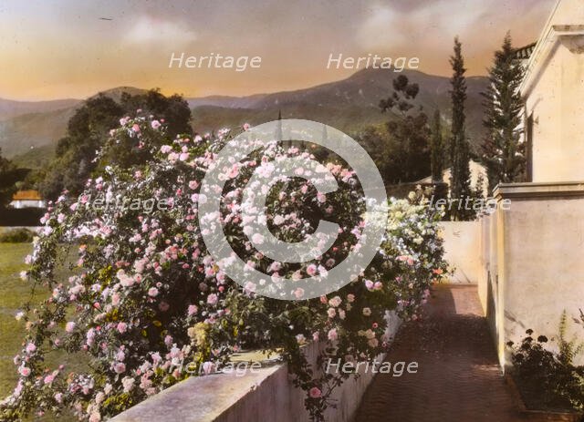 "El Fureidis," James Waldron Gillespie house, Parra Grande Lane, Montecito, California, 1917. Creator: Frances Benjamin Johnston.