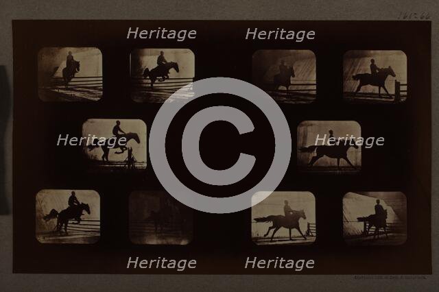 Animal Locomotion (Man On Horse Over Hurdles), Printed 1881. Creator: Eadweard J Muybridge.