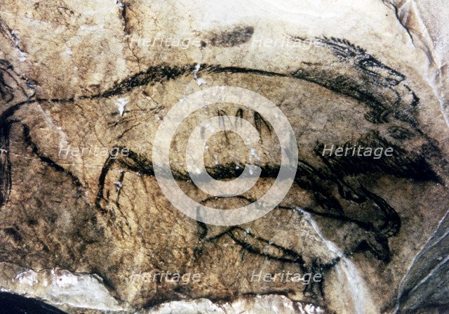 Panel 5, No. 94 Black Hall (Niaux cave): it has been interpreted as a dead female bison, by the o…