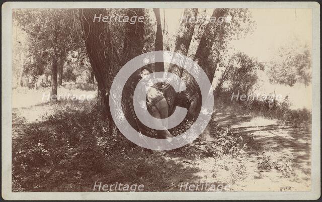 F.A. Williams resting against a tree, 1892. Creator: Unknown.