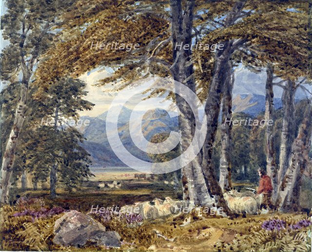 Landscape through trees,  1750-1780. Creator: George Barret Sr.