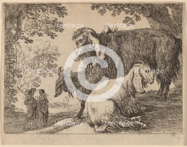 Angora Sheep. Creator: Herman van Swanevelt.