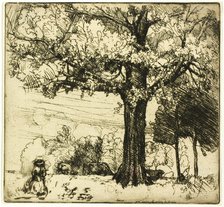 The Great Oak, 1907. Creator: Donald Shaw MacLaughlan.