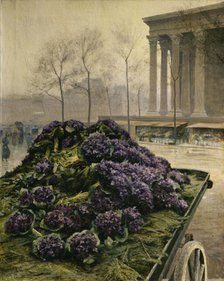 Violets from Nice, 1902. Creator: Krachkovsky, Iosiph Evstafievich (1854-1914).
