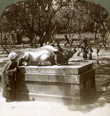 Devout woman stroking a bronze bull to cure rheumatism, Kitano Tenjin temple, Kyoto, Japan, 1904. Artist: Underwood & Underwood
