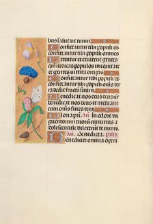 Hours of Queen Isabella the Catholic, Queen of Spain: Fol. 118v, c. 1500. Creator: Master of the First Prayerbook of Maximillian (Flemish, c. 1444-1519); Associates, and.