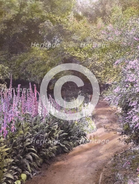 Michael Cochrane Armour house, 962 Linda Vista Avenue, Pasadena, California, 1917. Creator: Frances Benjamin Johnston.