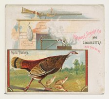 Wild Turkey, from the Game Birds series (N40) for Allen & Ginter Cigarettes, 1888-90. Creator: Allen & Ginter.